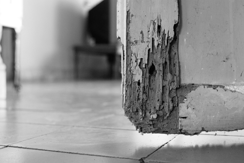 Decayed door